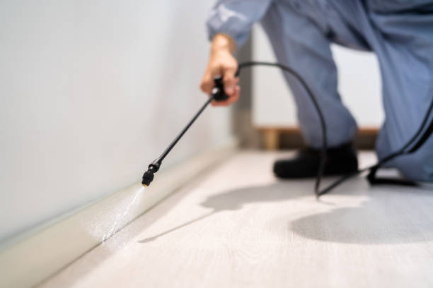Professional exterminator conducting IPM assessment in Watkinsville