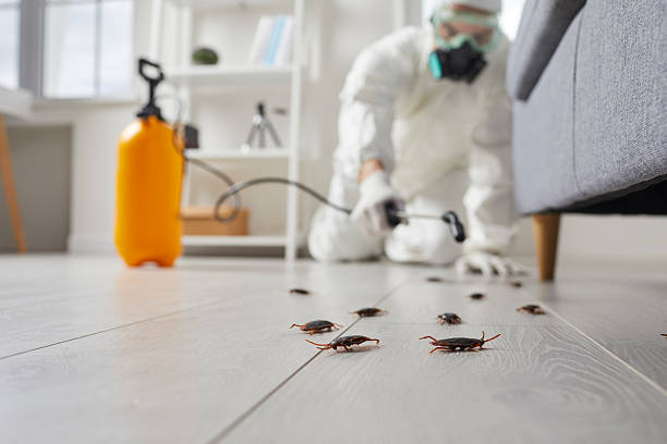 Commercial Rodent Management in Watkinsville